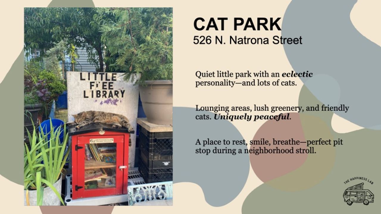 Student poster on the cat park